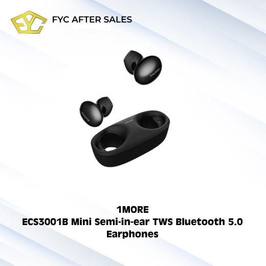 1MORE ECS3001B Mini Semi-in-ear TWS Bluetooth 5.0 Earphones